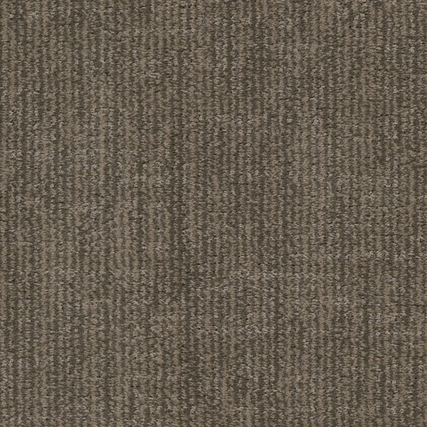 Dixie Home Tabby Colonel Meow