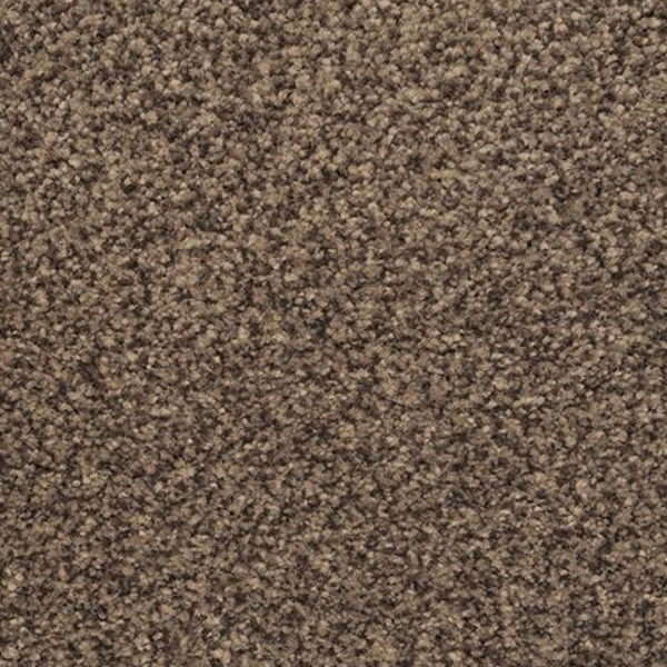 Dixie Home Chromatic Touch Blackened