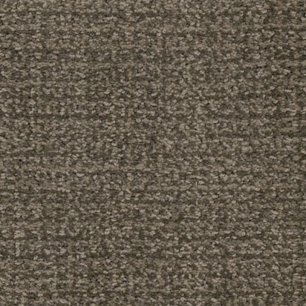 Masland Carpets Pedigree Andy Warhowl Masland