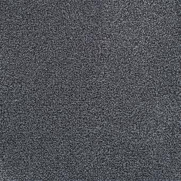 Masland Carpets Delray Dolphin Masland