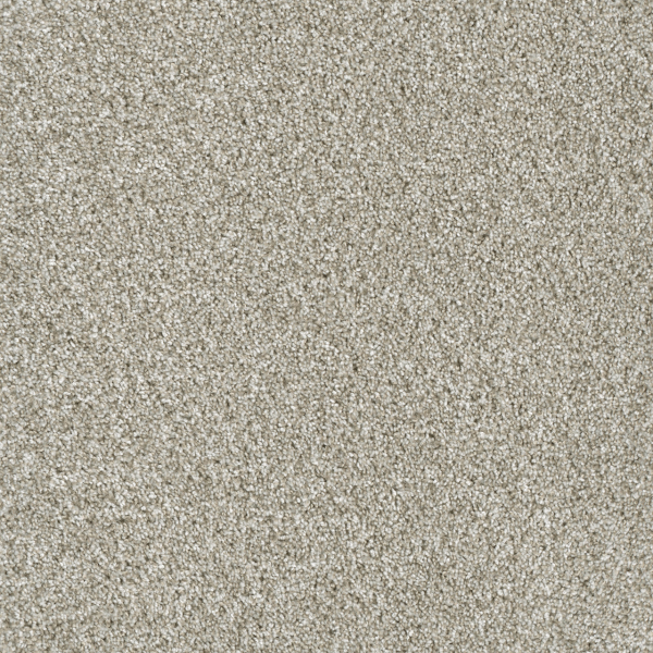 Dreamweaver Carpet Yellowstone Winterbrooke DREAMWEAVER