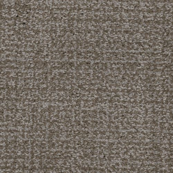 Masland Carpets Pedigree Brad Pitbull Masland