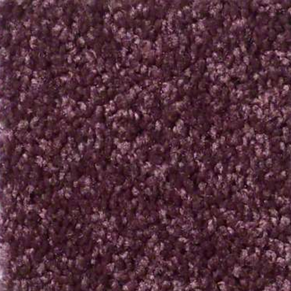 Shaw Floors Fielders Choice 12 Royal Purple SHAW