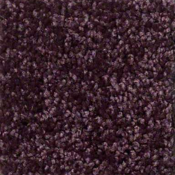 Shaw Floors Fielders Choice 15 Royal Purple SHAW