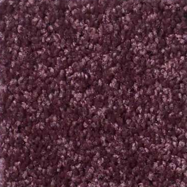 Shaw Floors All Star Weekend I 12' Royal Purple SHAW