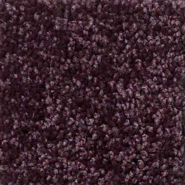 Shaw Floors All Star Weekend III 12' Royal Purple SHAW