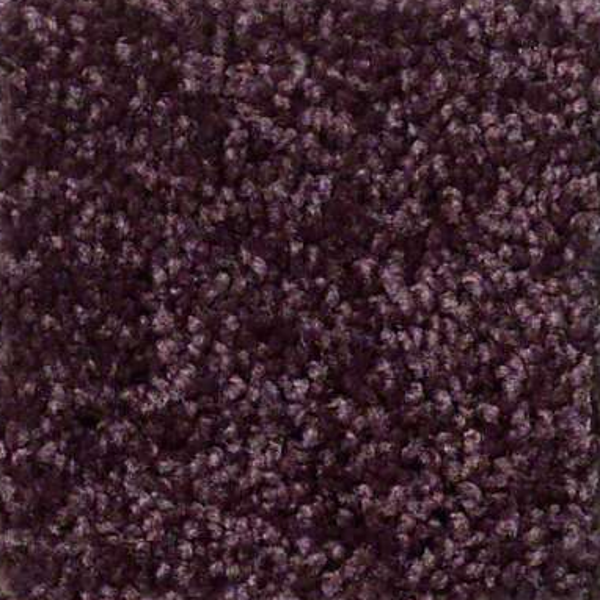 Shaw Floors Full Court 15 Royal Purple SHAW
