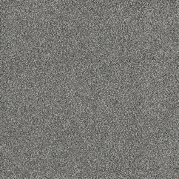 Dreamweaver Carpet Stunning Moonstone DREAMWEAVER