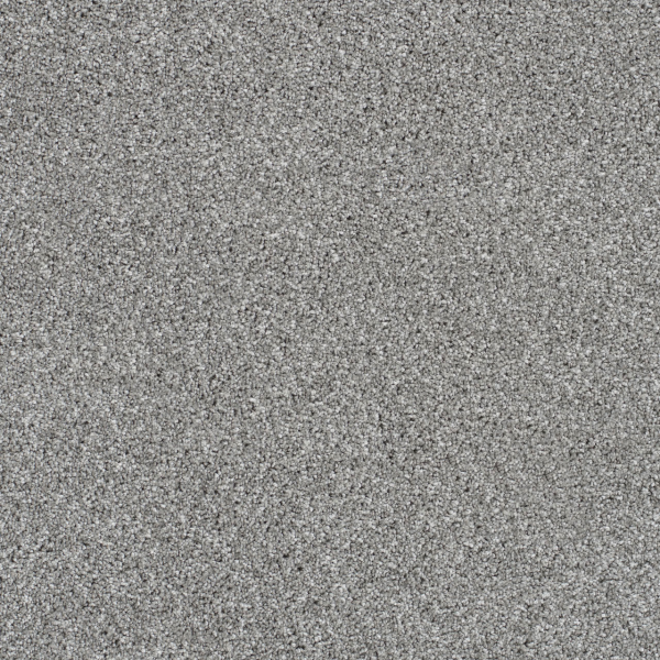 Dreamweaver Carpet Trendsetter II Moonstone DREAMWEAVER