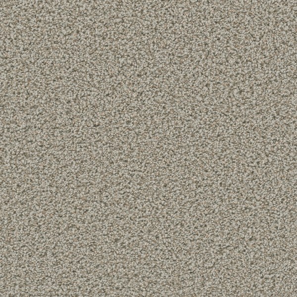 Dreamweaver Carpet Dazzling Stucco DREAMWEAVER
