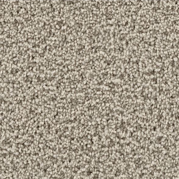 Mohawk Carpet Gentle Path Spellbound Mohawk