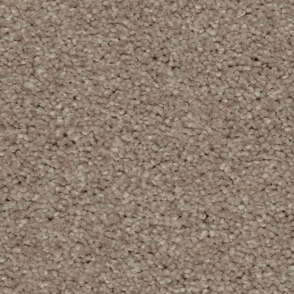 Mohawk Carpet Quality Feeling Arctic Mohawk
