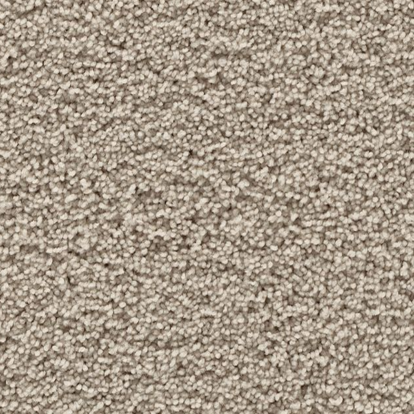 Mohawk Carpet Gentle Path Smoked Oyster Mohawk