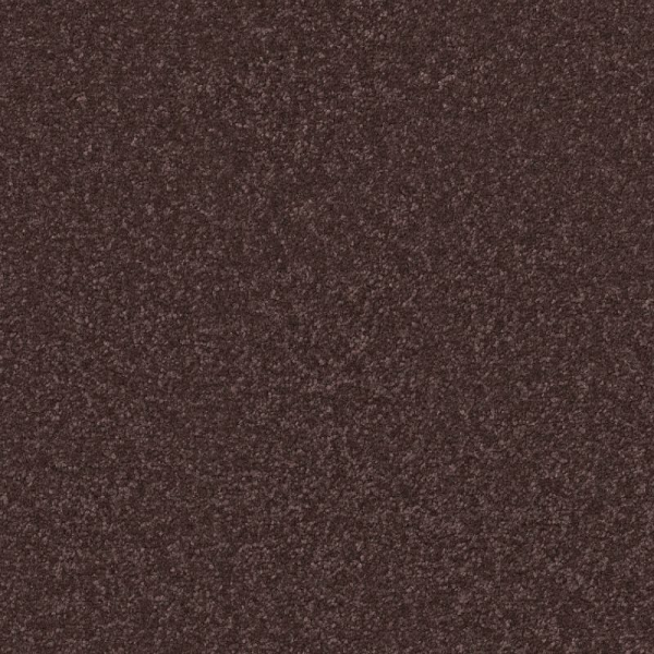 Shaw Floors Awaken Spirit II 15' Midsummer Night SHAW