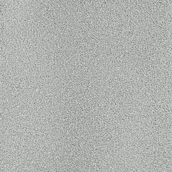 Dreamweaver Carpet Montauk Icicle DREAMWEAVER