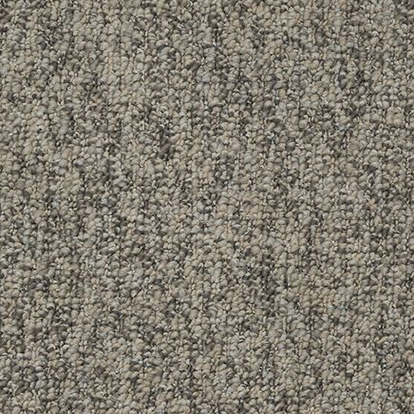 Mohawk Carpet Pristine Sensation Forest Twilight Mohawk