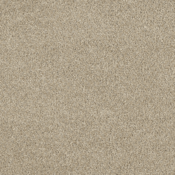 Dreamweaver Carpet Hollywood Oyster Shoal DREAMWEAVER