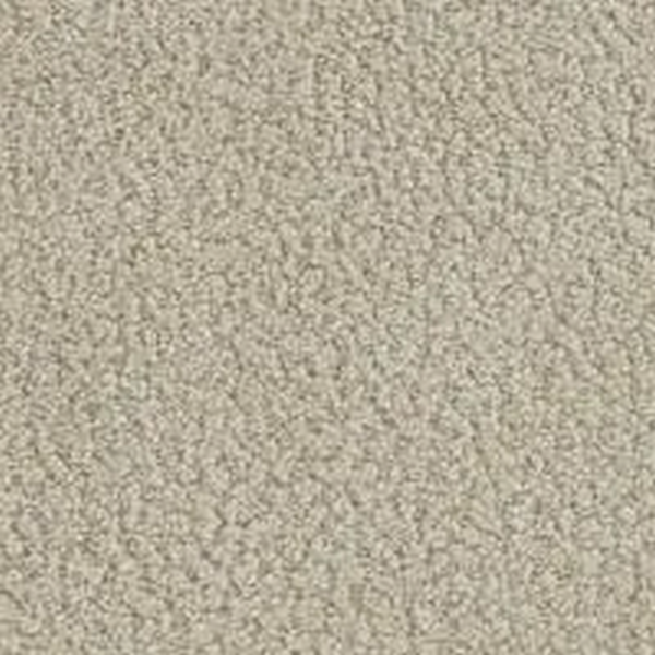 Phenix Carpets In The Details Specific PHENIX