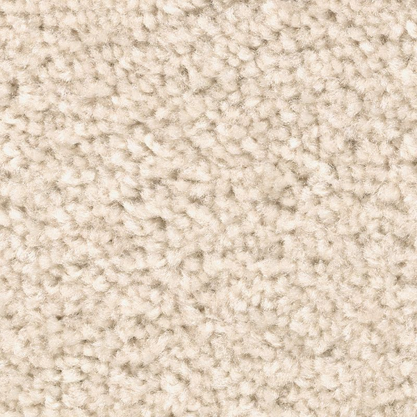 Mohawk Carpet Treasure Valley Bone Mohawk
