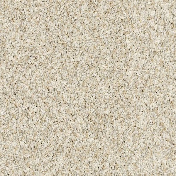 Mohawk Carpet Claws And Effect I London Fog Mohawk