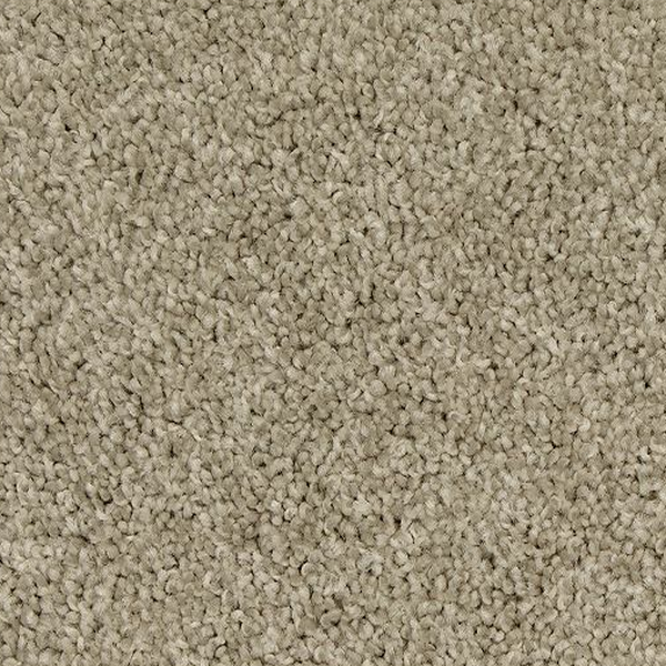 Mohawk Carpet Up The Ante Tradewinds Mohawk