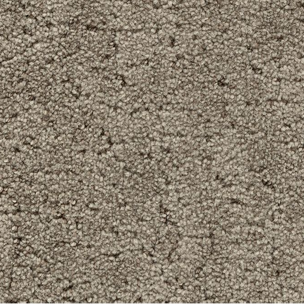 Godfrey Hirst Carpets Inspiring Selection Mobe Pearl GODFREY HIRST