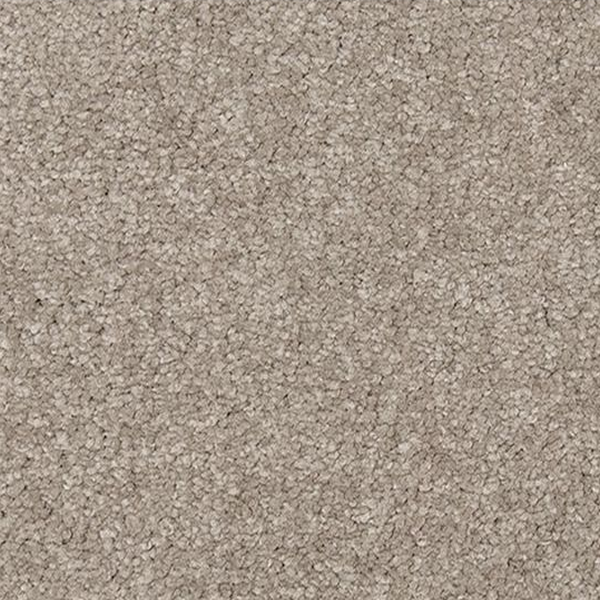 Mohawk Carpet Lakewood Drive I Geneva Mohawk