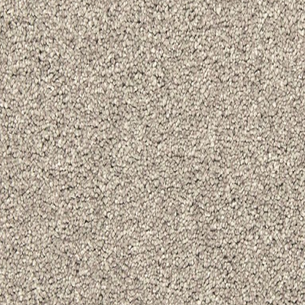 Mohawk Carpet Bold Creation Carbon Dust Mohawk