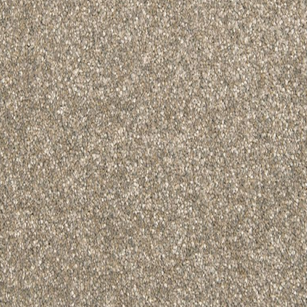 Mohawk Carpet Dynamic Quality II Iron Clad Mohawk