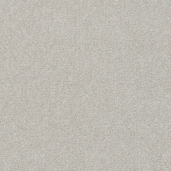 Dreamweaver Carpet Rock Solid III Andes DREAMWEAVER