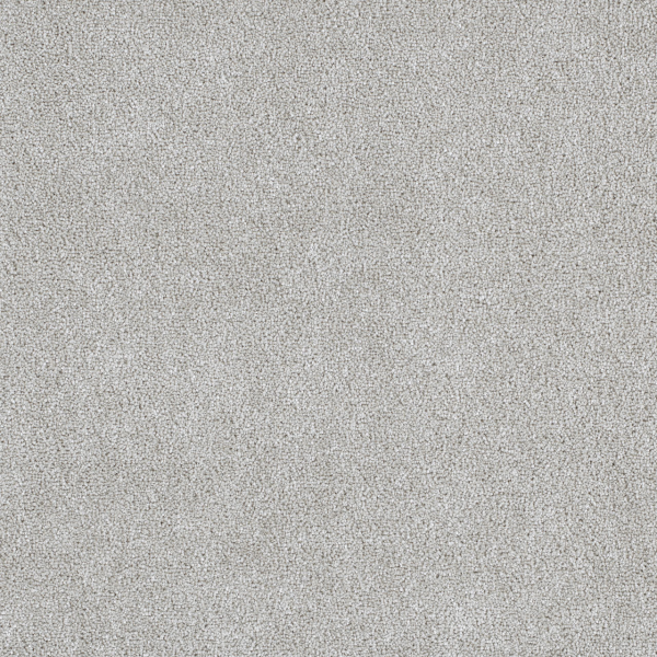 Dreamweaver Carpet Montauk Slumber DREAMWEAVER