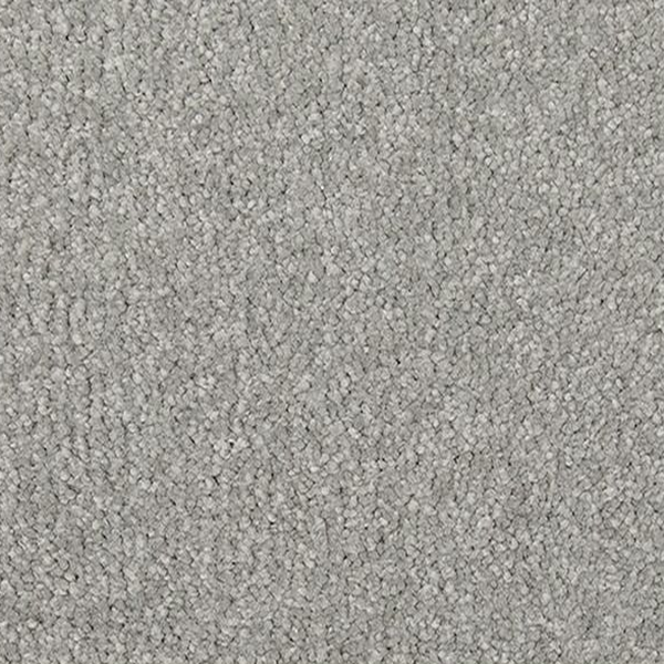 Mohawk Carpet Lakewood Drive I Superior Mohawk