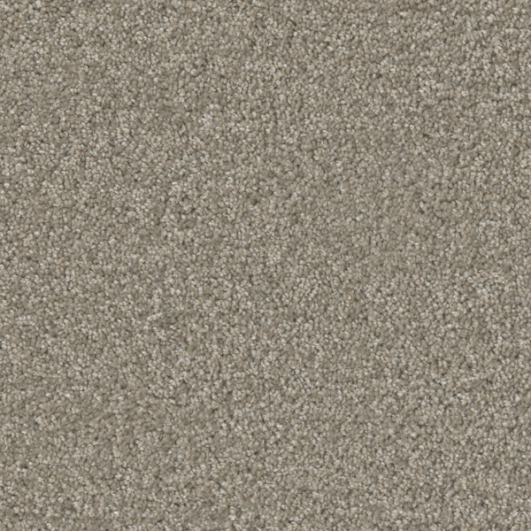 Dreamweaver Carpet Broadcast Plus Chrome DREAMWEAVER