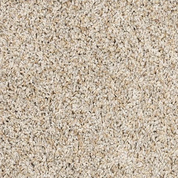 Mohawk Carpet Purrsonality I Crystalline Mohawk