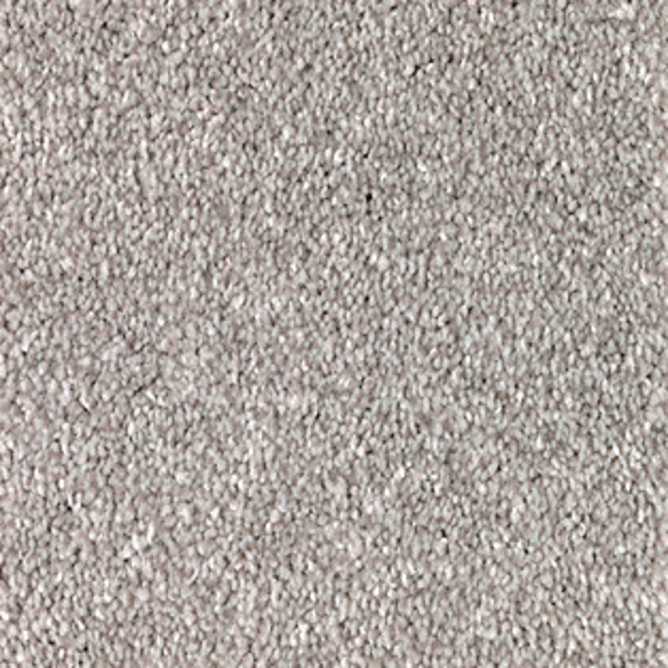 Mohawk Carpet True Unity Steambath Mohawk