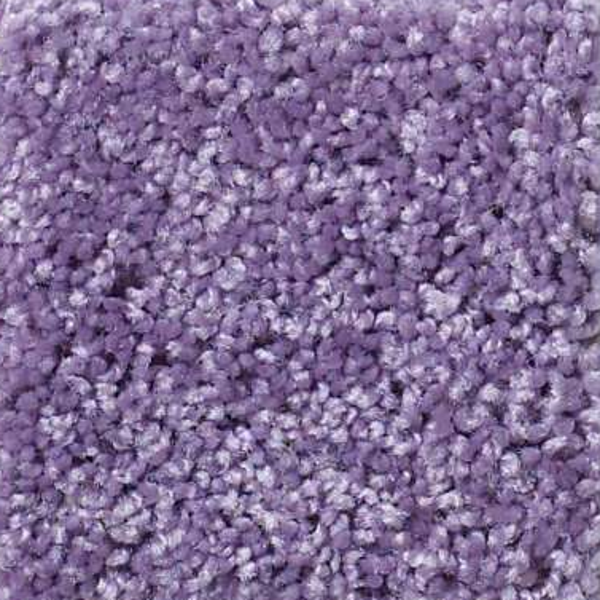 Shaw Floors Kid Crossing Lolli Pop SHAW