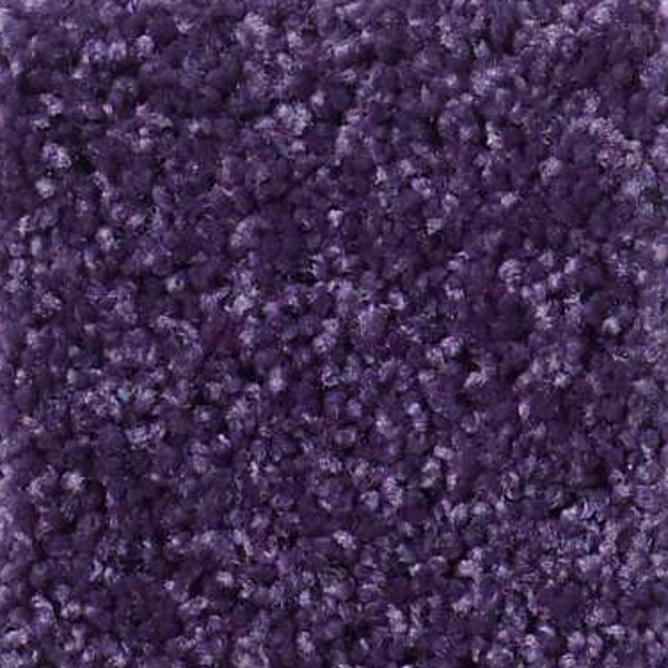 Shaw Floors All Star Weekend I 12' Grape Slushy SHAW