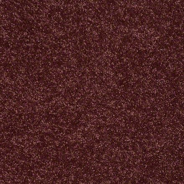 Shaw Floors Dyersburg Classic 15' Radiant Orchid SHAW