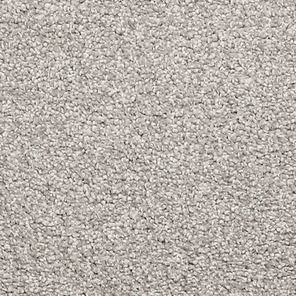 Mohawk Carpet La Jolla Cove I Barnacles Mohawk