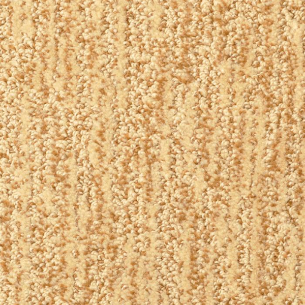 Masland Carpets Mesa Verde Copper Masland