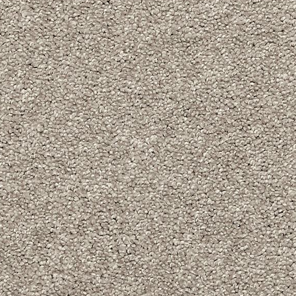 Mohawk Carpet Quality Feeling Oyster Mohawk