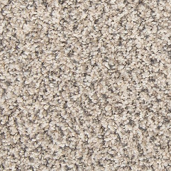 Mohawk Carpet Tectonic Silver Dollar Mohawk