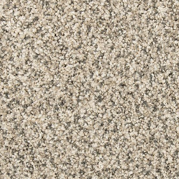 Mohawk Carpet Vitalize I Silver Dollar Mohawk