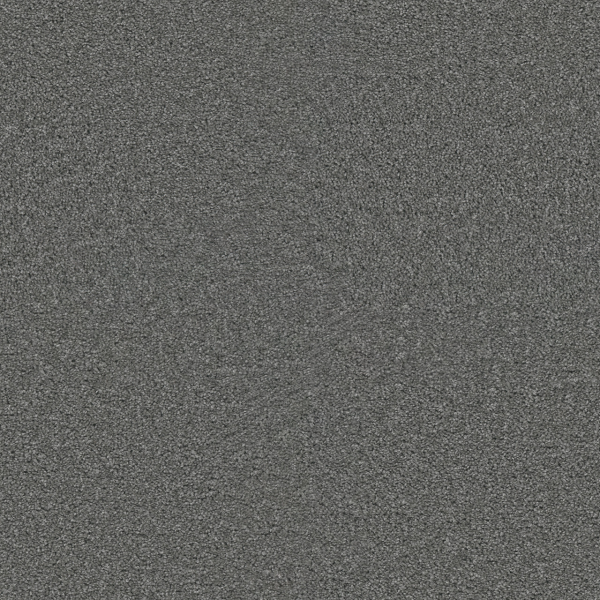 Dreamweaver Carpet Exceptional II Stellar DREAMWEAVER