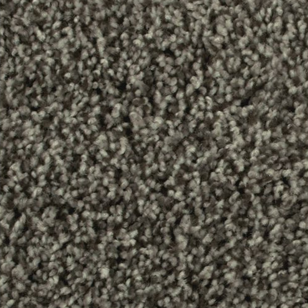 Mohawk Carpet Artistic Allure Amazon Star Mohawk
