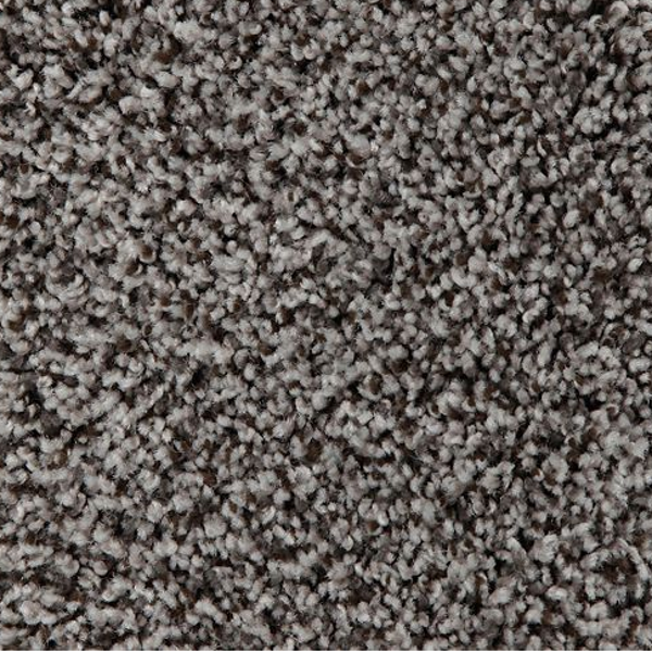 Mohawk Carpet Artistic Retreat Amazon Star Mohawk