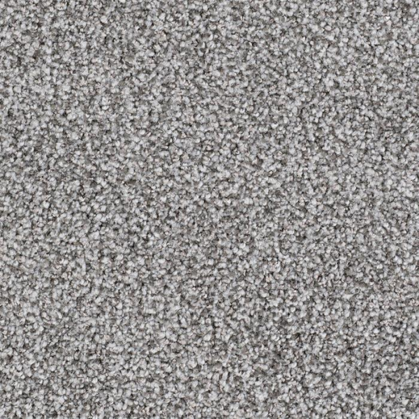 Masland Carpets St Augustine Obstinate Masland