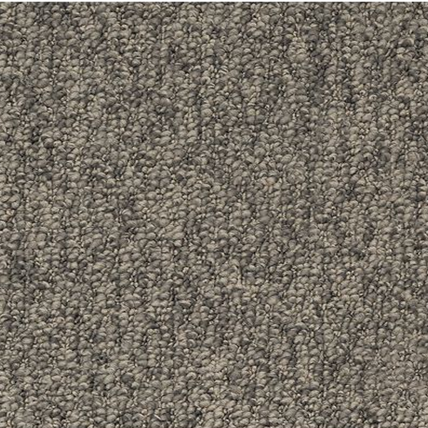 Mohawk Carpet Pristine Sensation Notion Mohawk