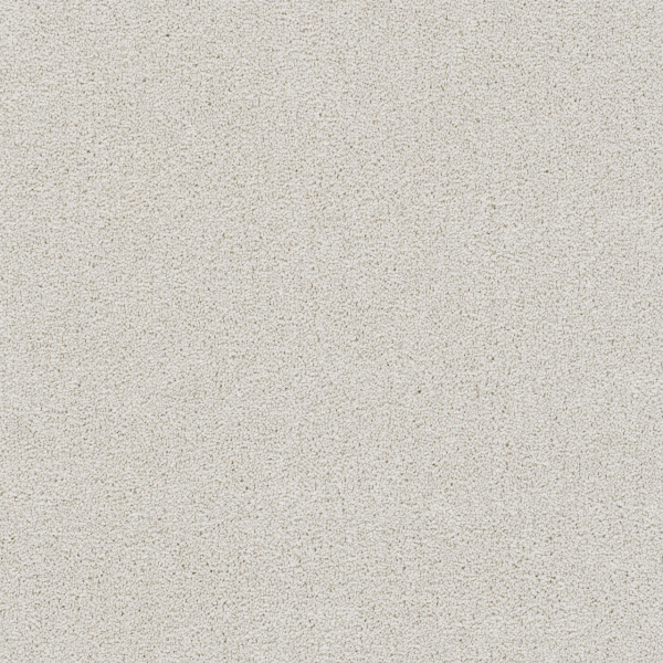 Dreamweaver Carpet Rock Solid I Snowbird DREAMWEAVER