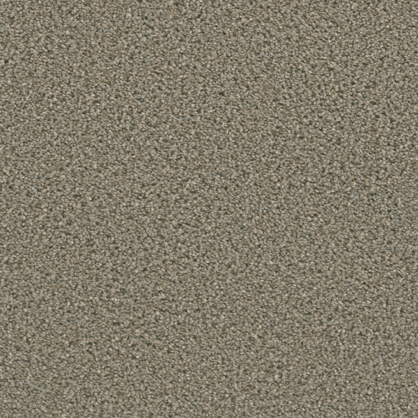 Dreamweaver Carpet Dazzling Ash DREAMWEAVER
